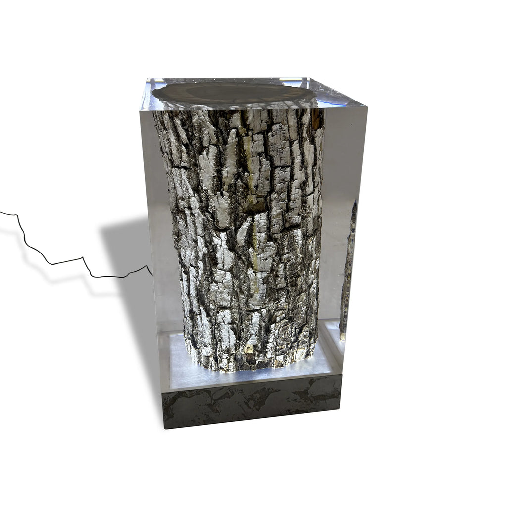 Stump Cube Lamp featuring a tree trunk encased in clear resin with dark base