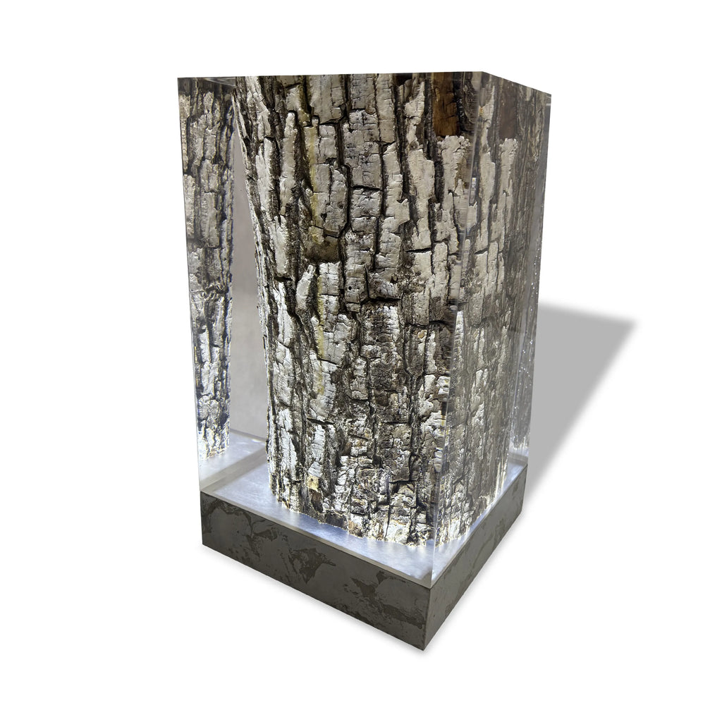 Stump Cube Lamp with clear resin and realistic charred wood bark texture illuminated base