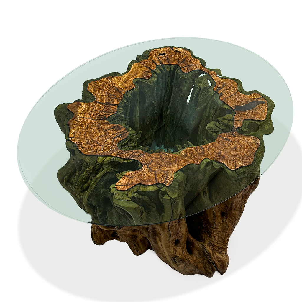 Root Oval Coffee Table - ARDITI COLLECTION®