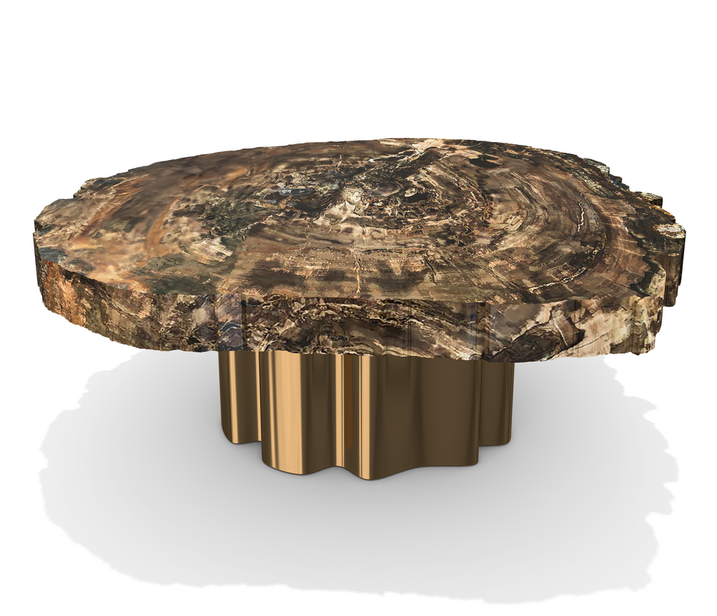 Echidna Petrified Wood Coffee Table with polished petrified wood top and gold base