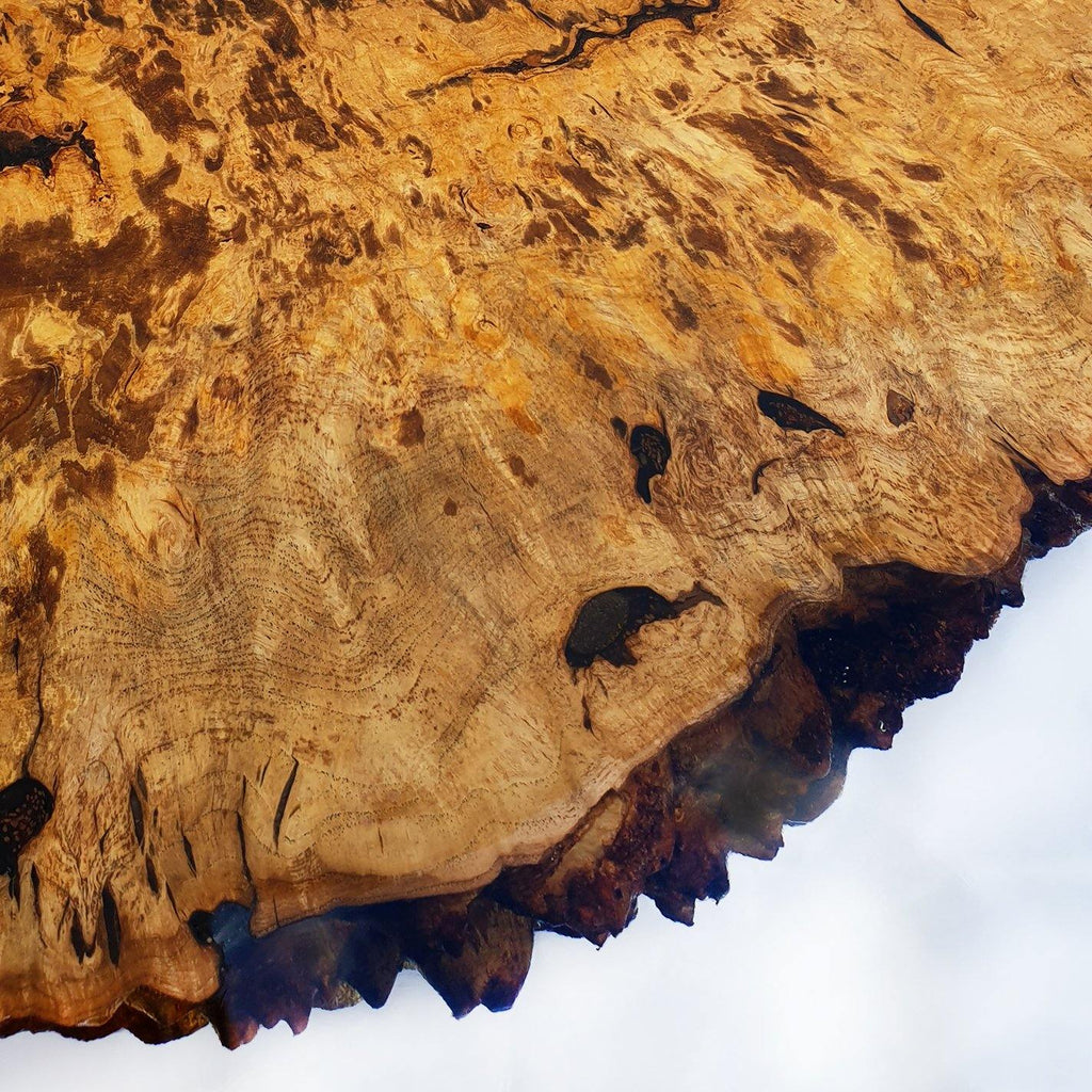 Amiata Ash Wood round dining table with thick burled wood slab and dark resin accents