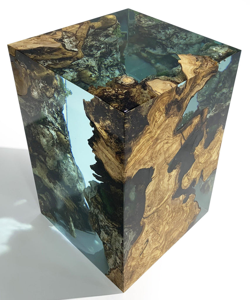Transparent resin Big Ocean Cube encasing natural wood and rock formations for Ocean Cube Lamp