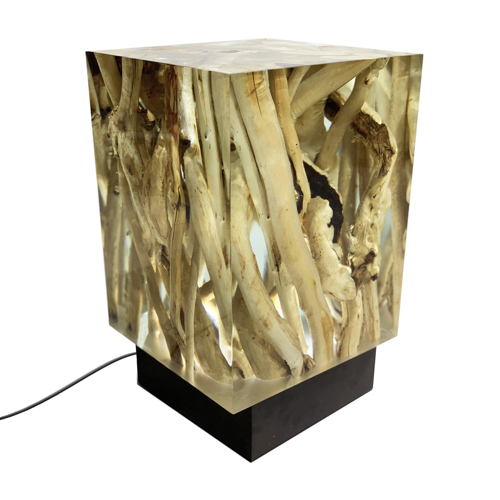 Branches Cube Lamp with square resin top encasing natural wood pieces on dark base