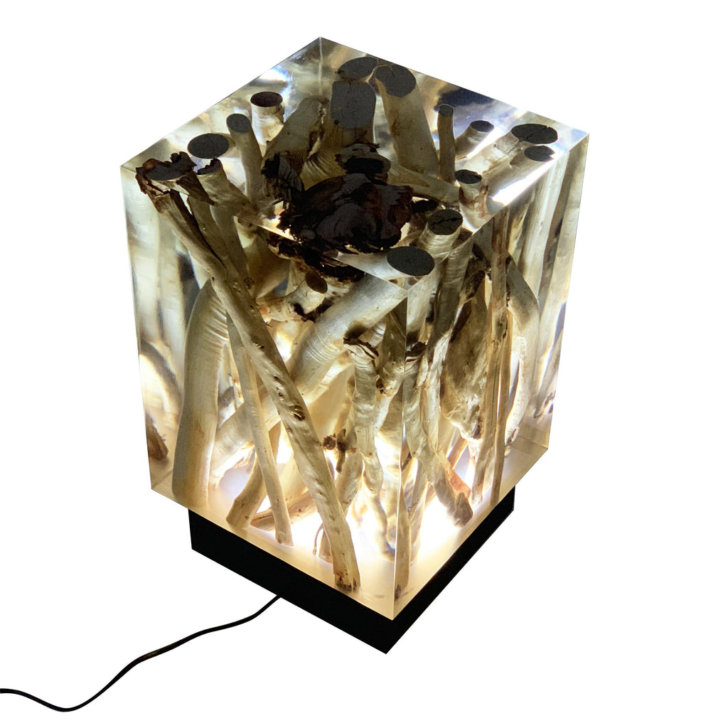 Branches Cube Lamp with clear resin encasing organic material and dark cluster, black base
