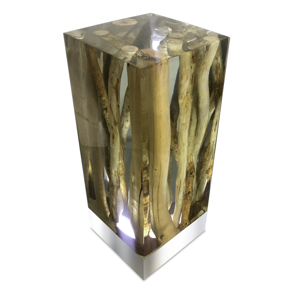 Branches Cube Table Lamp with clear resin encasing natural light-colored wood branches and a silver metal base