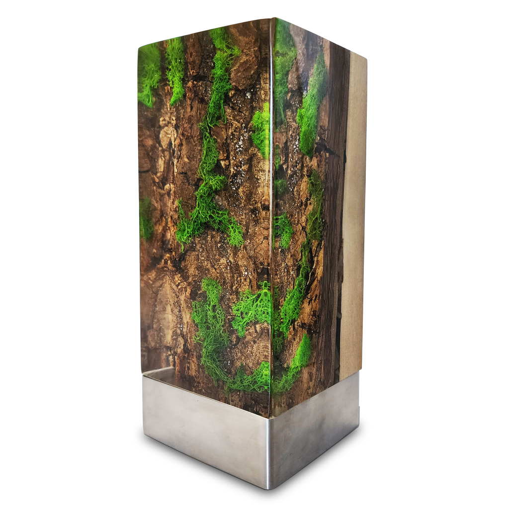 Decorative Forest Cube Table Lamp with preserved moss wood encased in resin and metal base