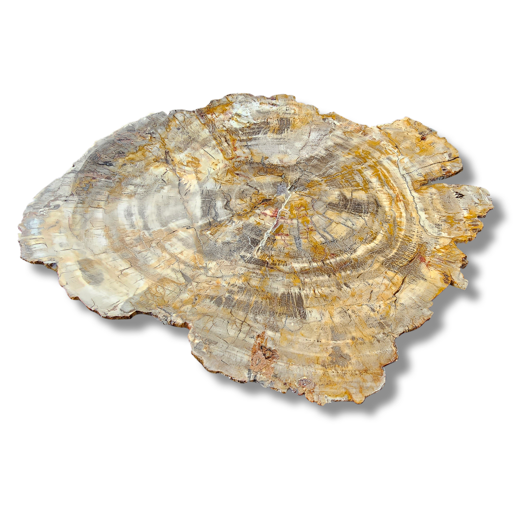 Petrified Wood Semi-Precious Stone Custom Wash Basin - ARDITI
