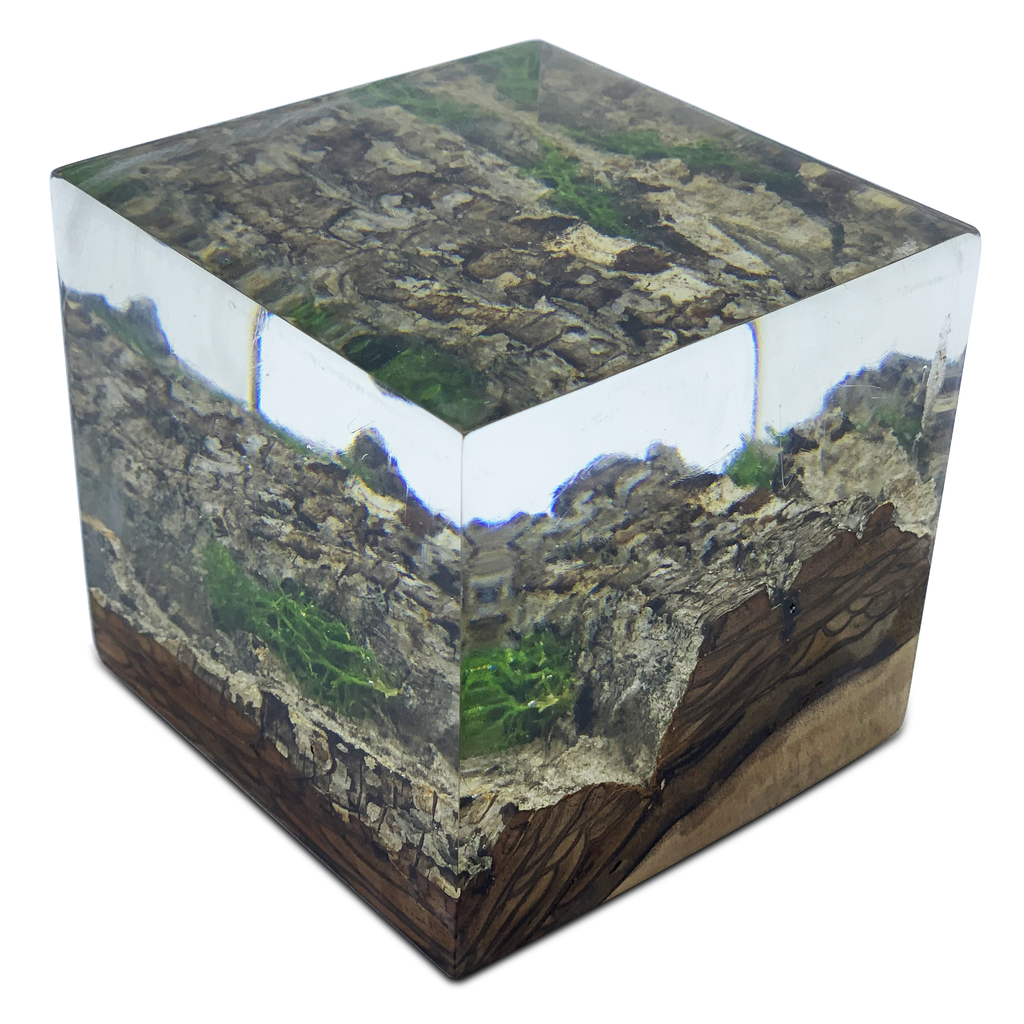 Wood Bark Minimal decorative cube with natural wood, rock, and green moss inside clear resin