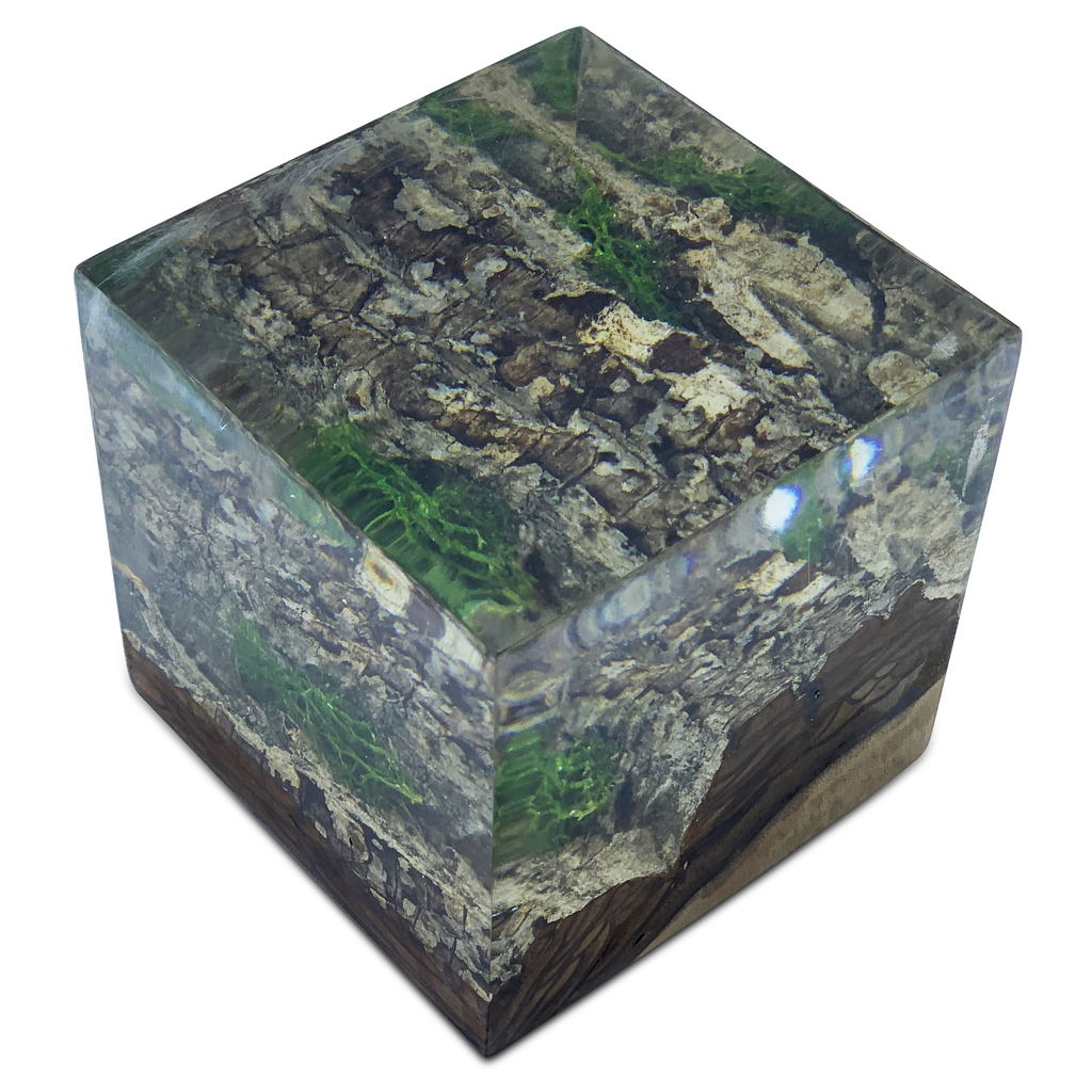 Wood bark minimal decorative cube with clear resin encasing tree bark and green moss